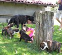 DSCN2842