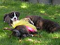 DSCN2849