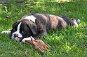 DSCN2851